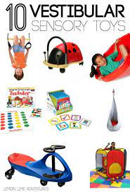 for sensory processing gift ideas