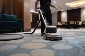 best pet carpet cleaner top 6 in 2023