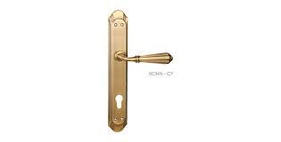 beautiful mortise door handle lock on