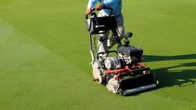 Image result for what area of the golf course does the turf cat mow