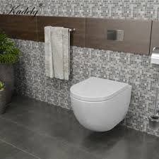 Modern Rimless Flushing System Sanitary