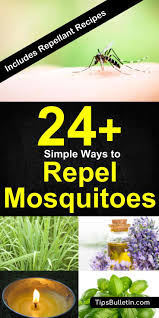24 simple ways to repel mosquitoes