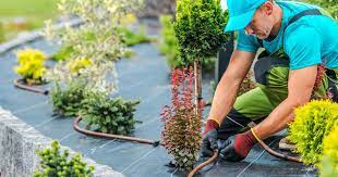 Starting A Landscaping Business Costs