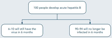 Exhibit 1 3 Disease Course Of Hepatitis B Addressing