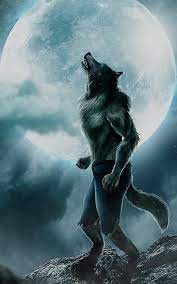 wolf wolves hd phone wallpaper peakpx