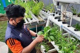 Urban Farming Takes Root Among Youth In