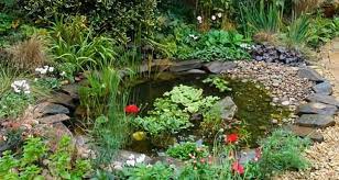 Creating A Small Wildlife Pond