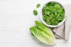 Can lettuce be eaten raw?