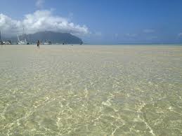 You Can Check Out The Kaneohe Sandbar Tide Chart Here Tides