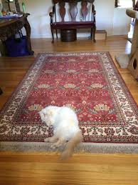 a persian stair runner in a luscious