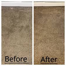 top 10 best carpet cleaners near