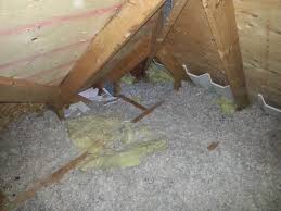 Finding out a raccoon has made a home in your attic can be a frustrating experience. What Kind Of Damage Can Raccoons Do Skedaddle