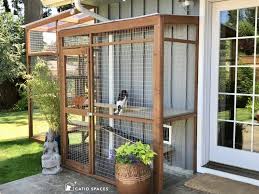 8 Catio Building Mistakes To Avoid