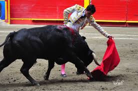 El torero afincado en Fuentelencina Juan de Castilla toma la alternativa en  Medellín | Guada News