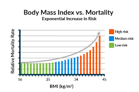 Body Mass Index Explained Health Health Wellness