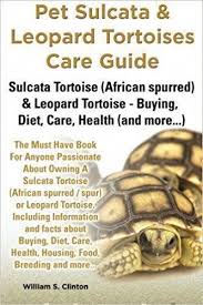 Sulcata Tortoise Size Sulcata Tortoise Hatchlings Measure