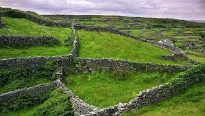 Stone Fences An Ode To Early Irish