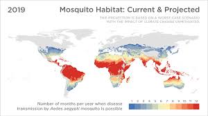 How Far North Could Mosquitoes Go If Climate Change Is