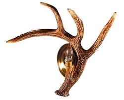 Whitetail Deer Right Antler Wall Sconce