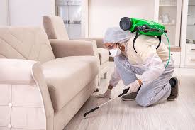 carpet cleaning lounge cleaning