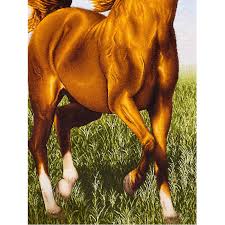 wall rug art tabriz horse