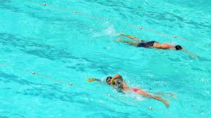swimming workouts for beginners