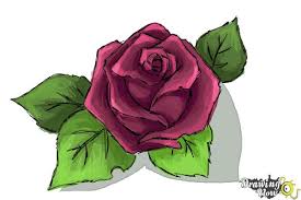50 beautiful pictures of roses. How To Draw A Beautiful Rose Drawingnow