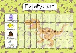 Personalised Cat Toilet Potty Training Reward Chart Other