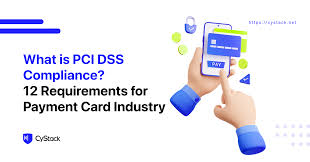 what is pci dss compliance 12