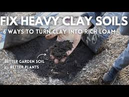 6 Ways To Fix Clay Garden Soil Easy