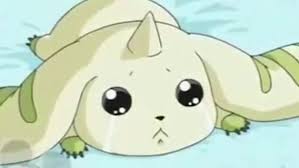 What Is Terriermon
