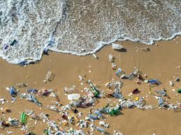 ocean pollution causes effects