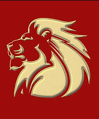 lions rugby sport hd phone wallpaper