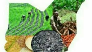 FG To Stop Food Importation
