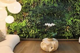 Keeping Living Walls In The Home