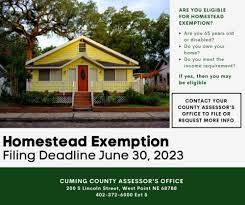 homestead exemption filing deadline