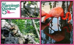 53 off flamingo gardens admission