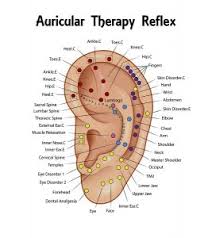 Auriculotherapy And Reflexology Alternative And Home Therapies