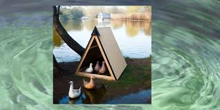 A Frame Duck Coop Plans Urban