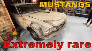 the rarest mustang ever made you