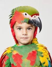 boy parrot costume fancy dress face