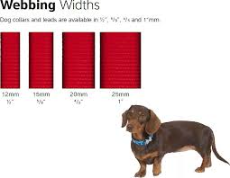 Red Dingo Classic Dog Harness Medium Blue X Large