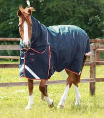 premier equine buster zero turnout rug