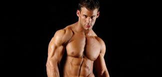 build lean muscle m and gain weight