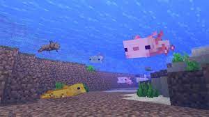 Minecraft axolotl colors · leucistic: Minecraft Axolotl Guide Everything You Need To Know Pc Gamer