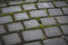 How To Remove Moss From Concrete And