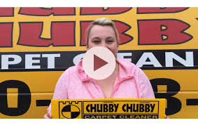 rug rescue teamed up with chubby chubby