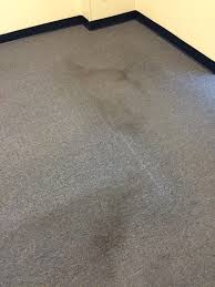 low moisture carpet cleaning greg s