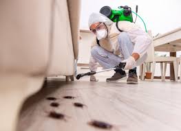 Precautions to Take After a Pest Control Routine - Swift Care