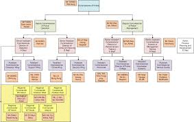 Hk Police Force Senior Officer And Organisation Structure
